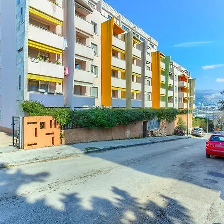 New Bila Jidra**** *