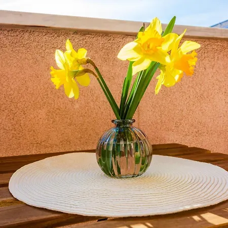 New Bila Jidra**** *