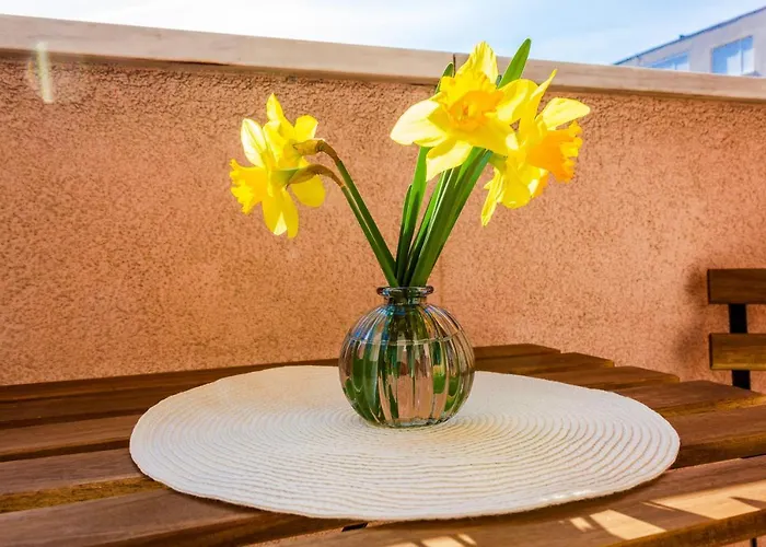 New Bila Jidra**** *